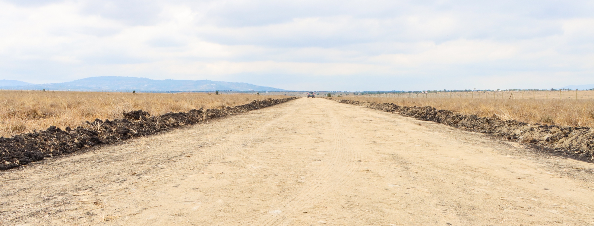 Savannah Plains Konza